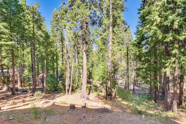 House (3 Bedrooms) | Interior - Cold Springs Mountain Cabin: Hot Tub & Generator (Long Barn)