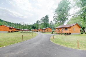 Interior - Fire Pit: Cozy Bryson City Cabin on Tuck River (Bryson City)