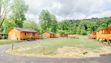 House (1 Bedroom) | Interior