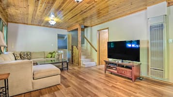Televisión, chimenea y libros