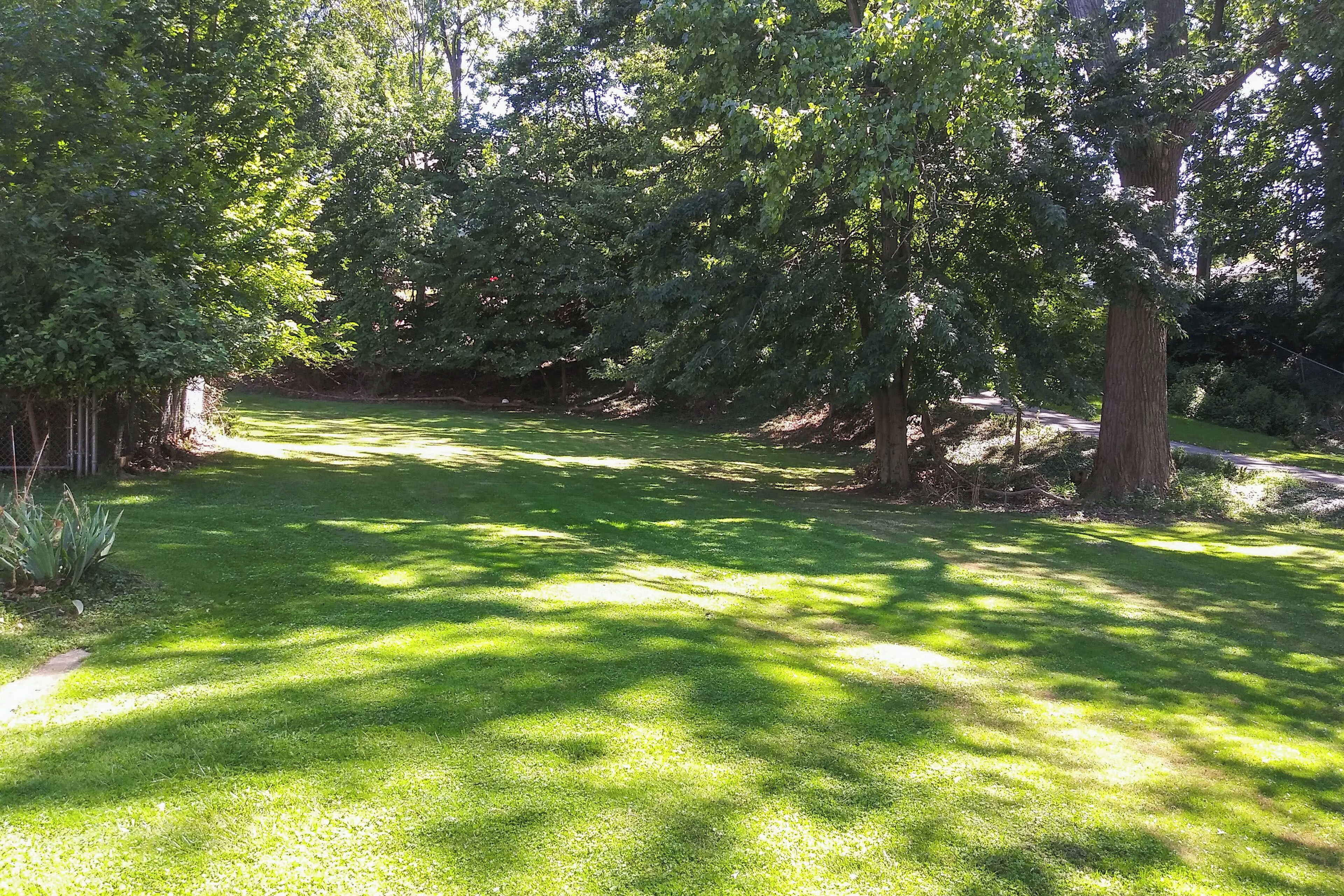 Un espace verdoyant bien entretenu, agrémenté d’arbres et d’un sentier.