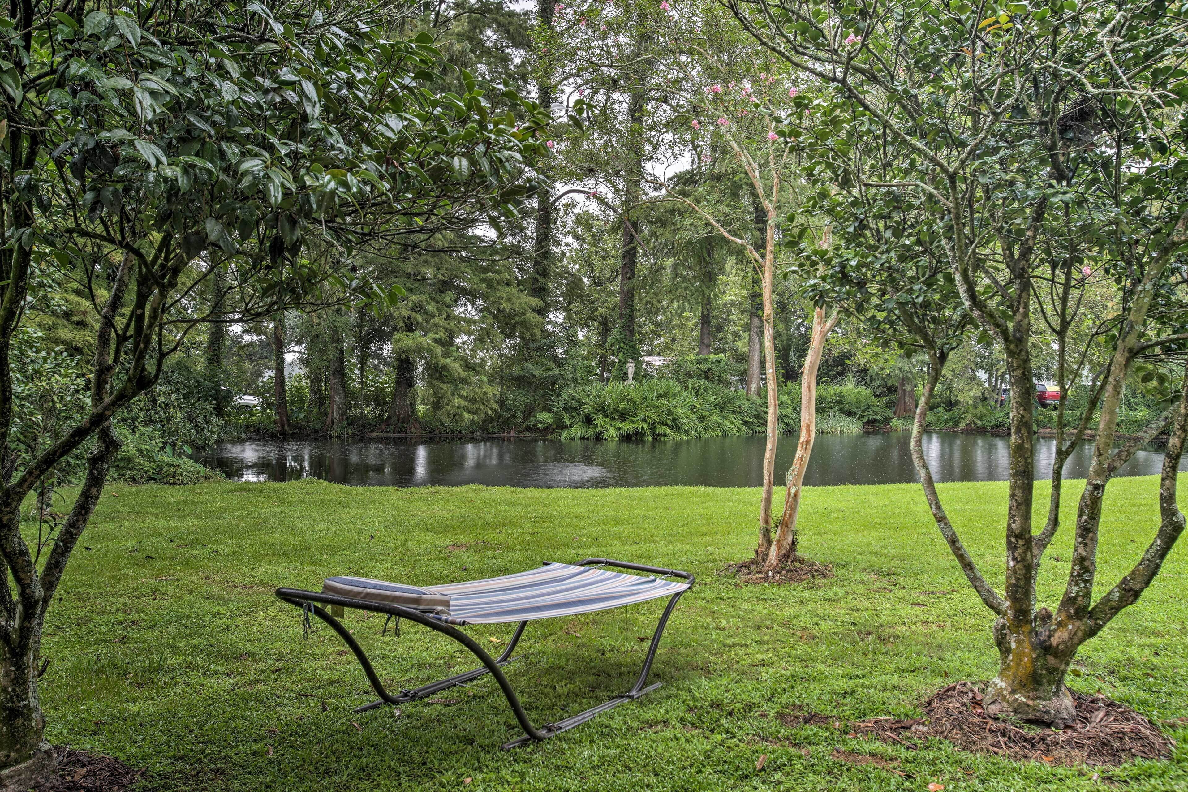 A grassy area with a metal bench and a small tree.