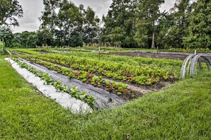 Apartment (0 Bedroom) | Interior