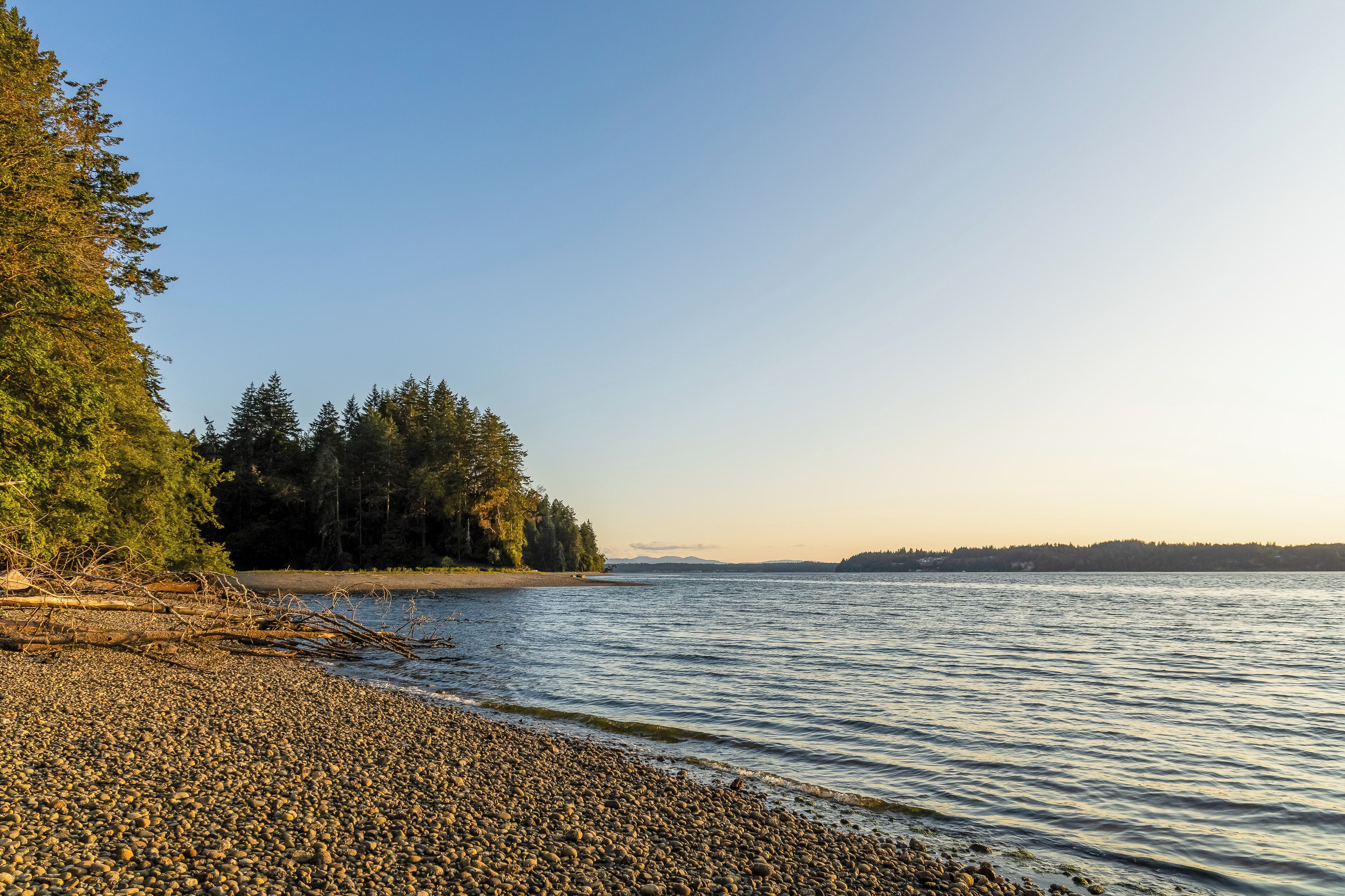 Een kiezelstrand met bomen en een rustig meer.