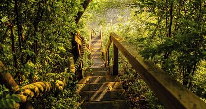 Game Room & Private Beach: Anderson Island Gem