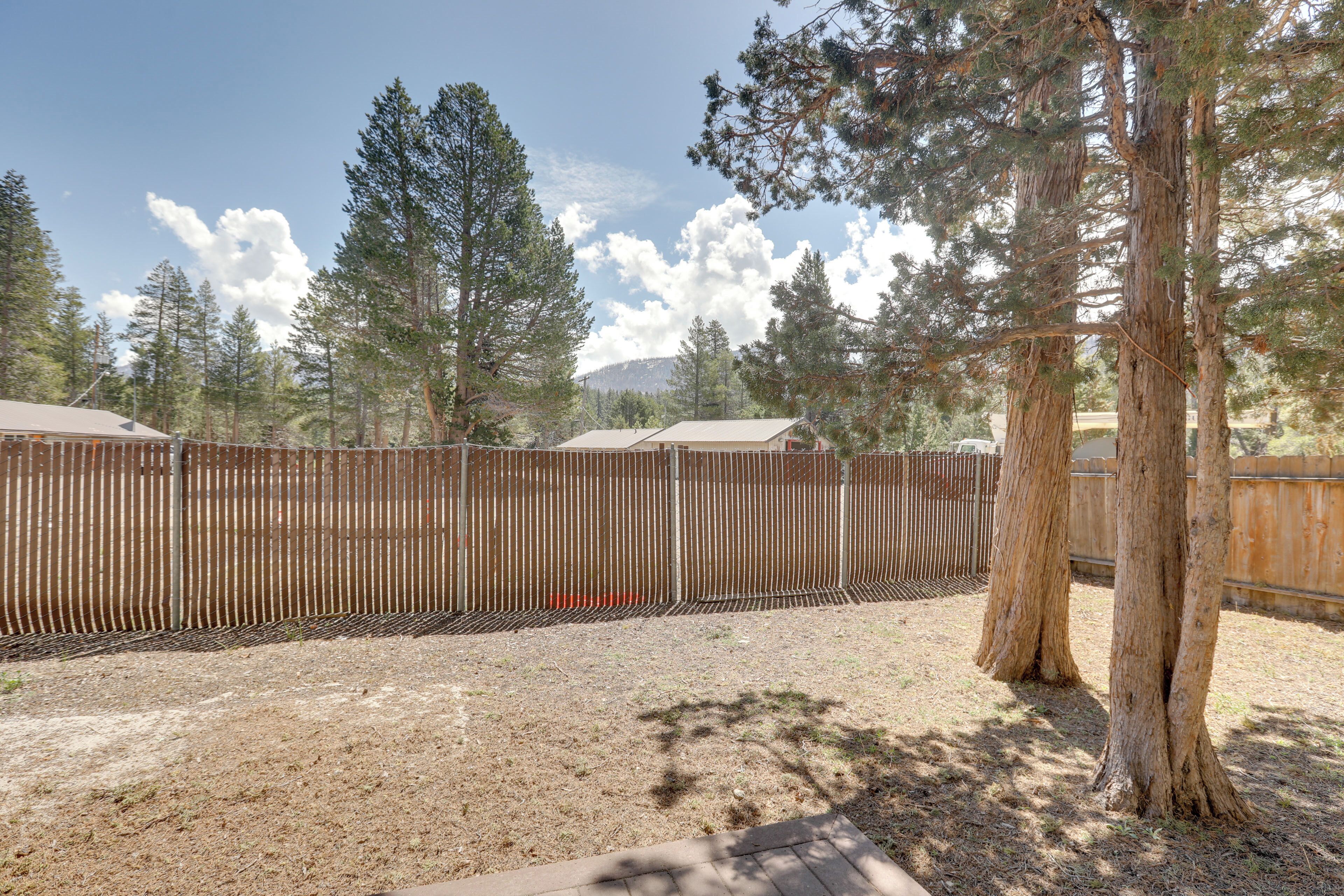 A fenced outdoor area with tall trees and a clear sky.