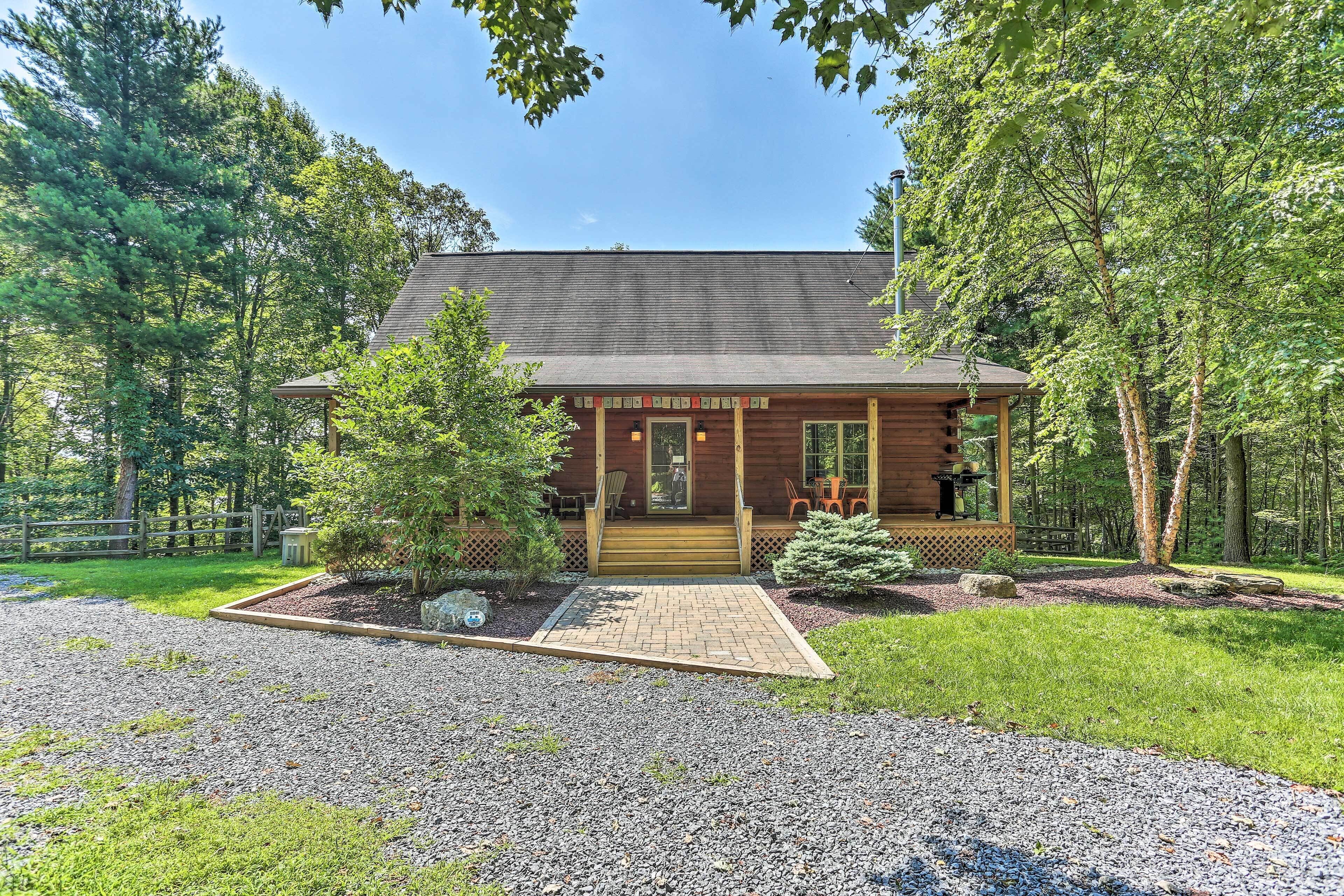 Palmerton Cabin W/game Room ~5 Mi to Blue Mtn