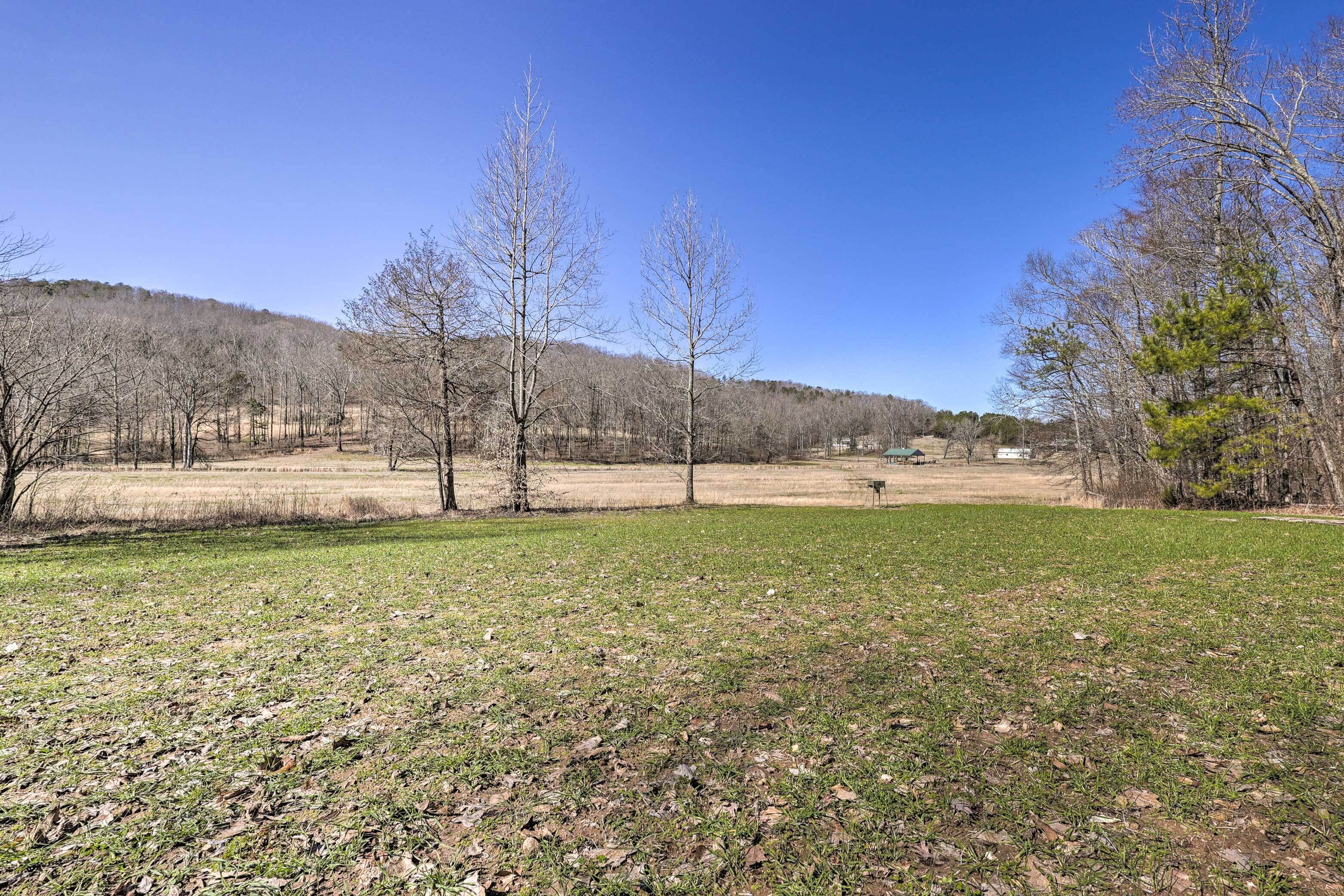 A grassy field with trees and a clear sky.