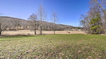 A grassy field with trees and a clear sky.