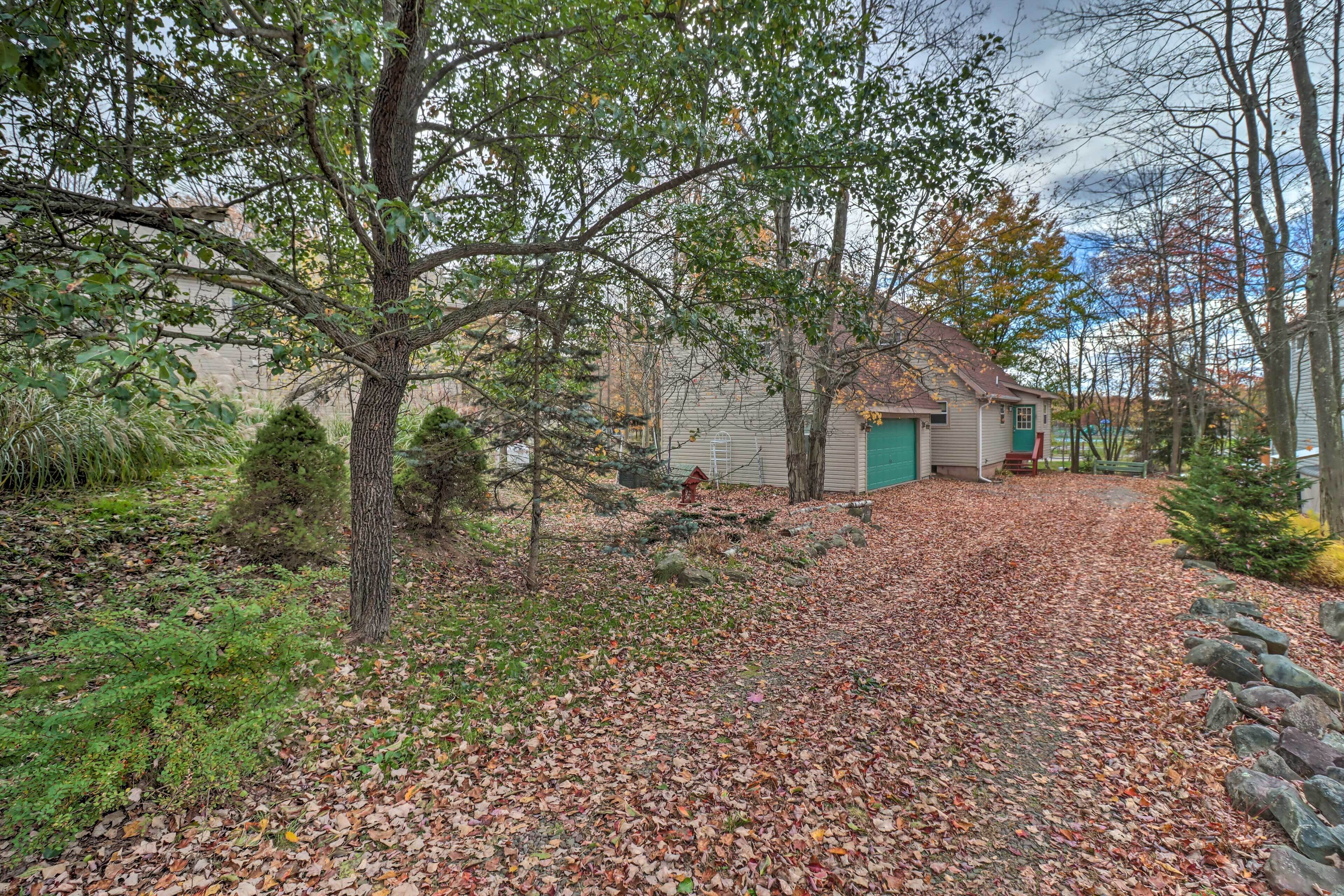 A house with a green door, surrounded by trees and a leaf-covered driveway.