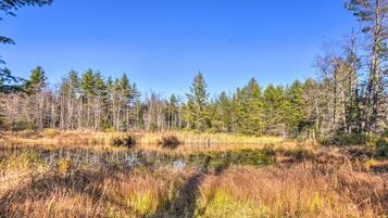 Ferienhaus (2 Bedrooms) | Innenbereich