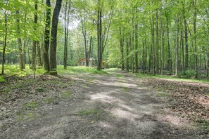 Interior - Secluded Farwell Cabin w/ Fire Pit & Gas Grill! (Farwell)