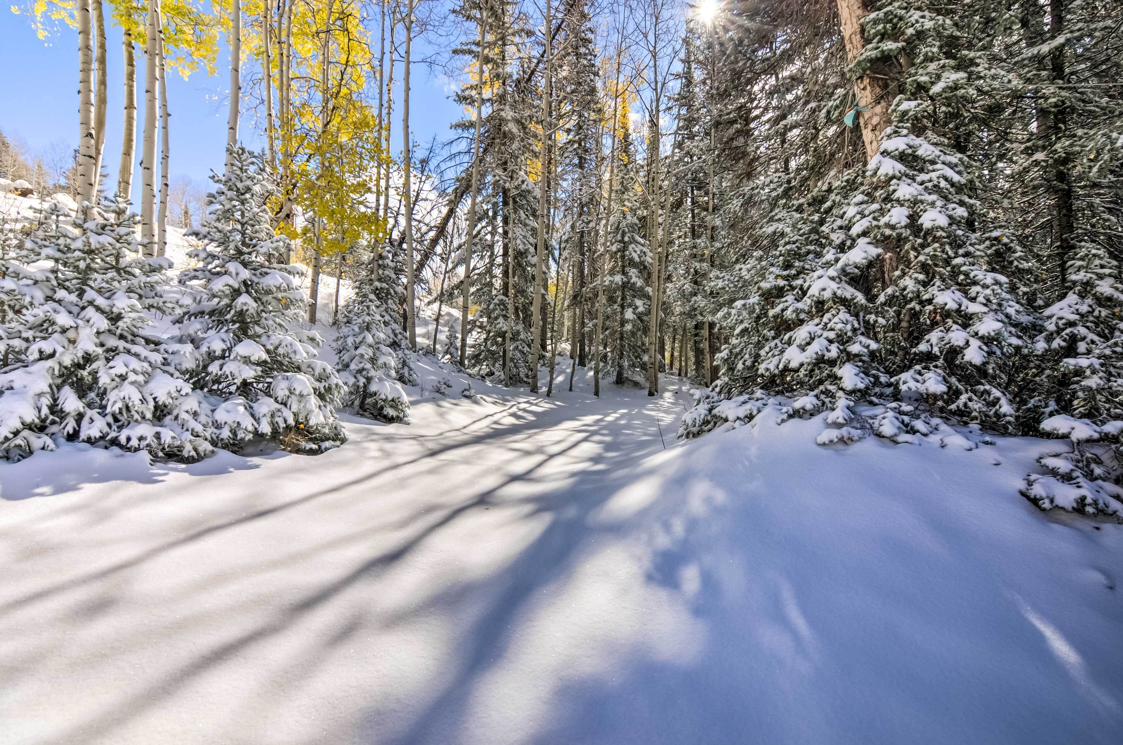 The Cottages: Chic Ski-in/ski-out Mountain Condo!