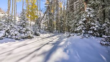 아파트 (1 Bedroom) | 내부