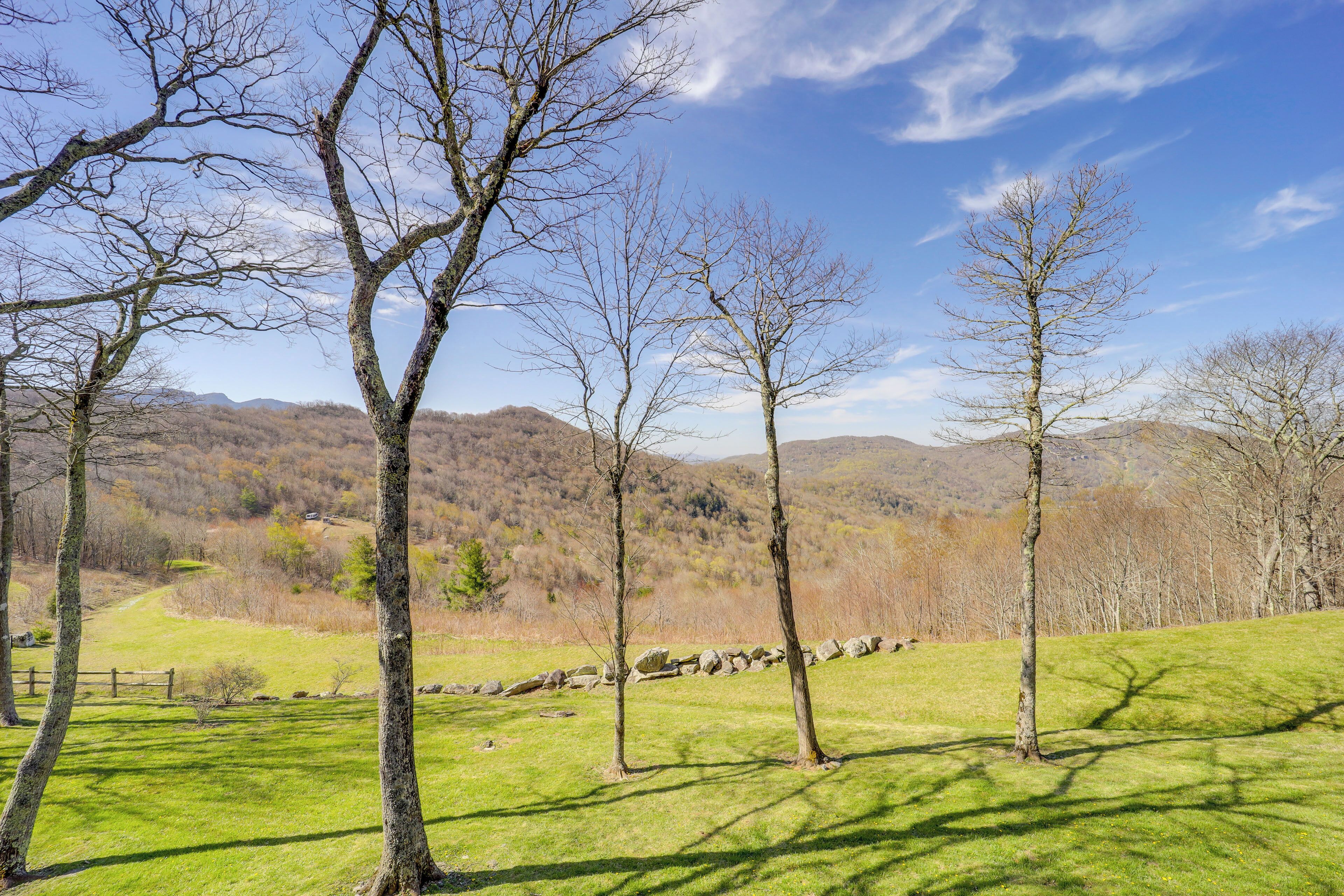 A grassy field with trees and a stone wall.