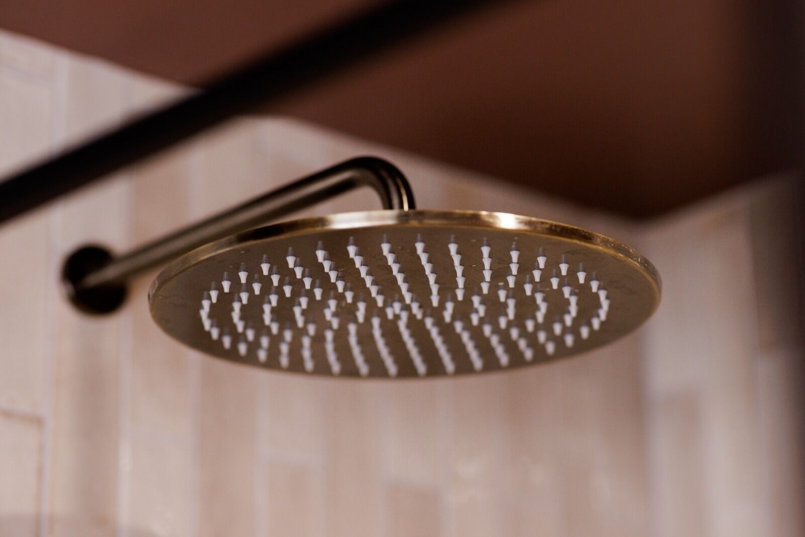 A showerhead with a curved design and multiple nozzles.