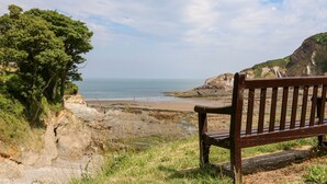 A bench overlooking a coastal landscape with cliffs and a beach. - Beach View (Ilfracombe)