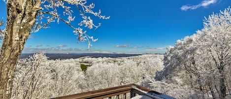 アパートメント (3 Bedrooms) | 内装