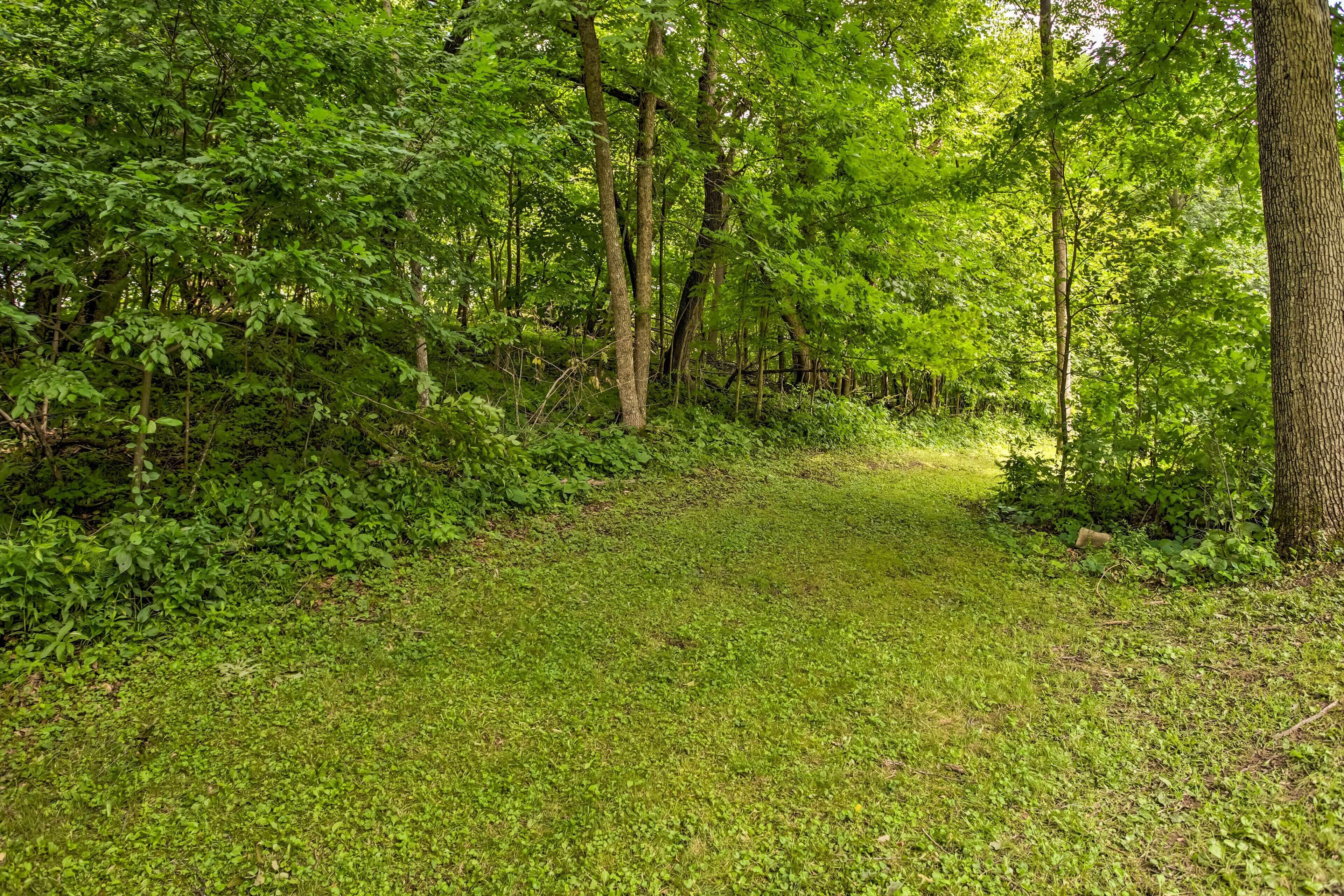 House (6 Bedrooms) | Interior