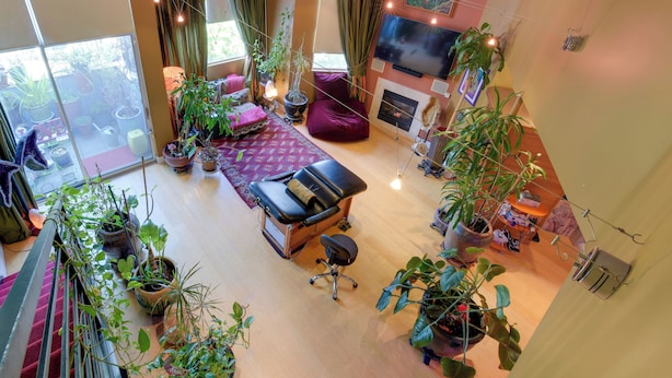 A spacious living area with a red carpet, multiple potted plants, a black leather sofa, and a television mounted on the wall. - Cozy Emeryville Studio, Near Beaches & Parks! (Emeryville)