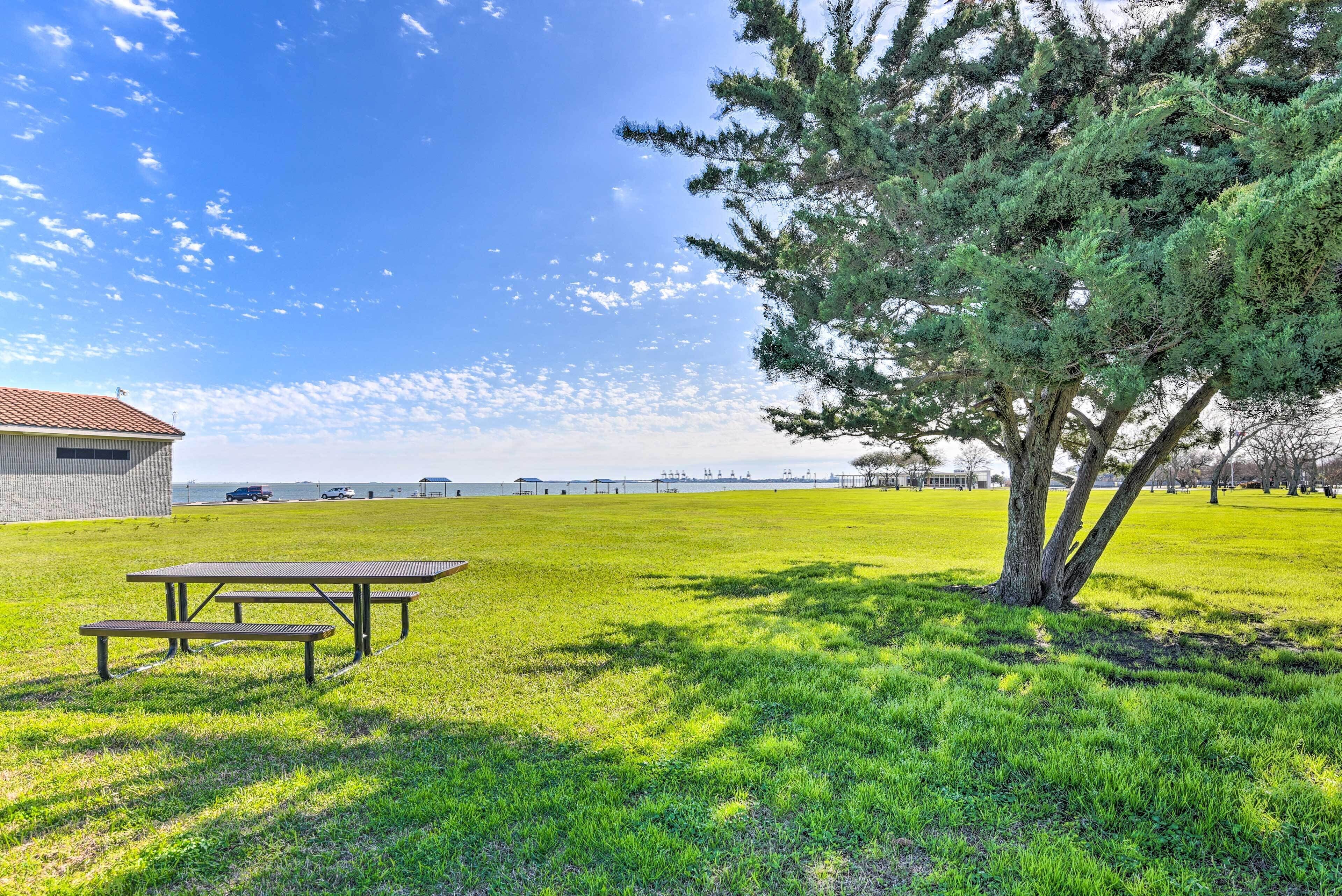 A grassy area with a picnic table and a tree.
