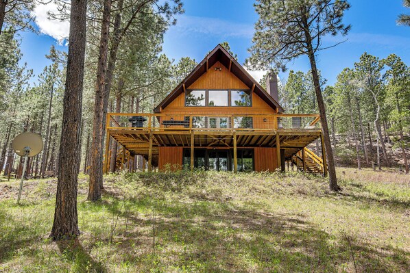 House (3 Bedrooms) | Interior - Modern Black Hills Cabin w/ Loft & Wraparound Deck (Rapid City)