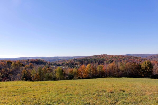 Huis (2 Bedrooms) | Interieur