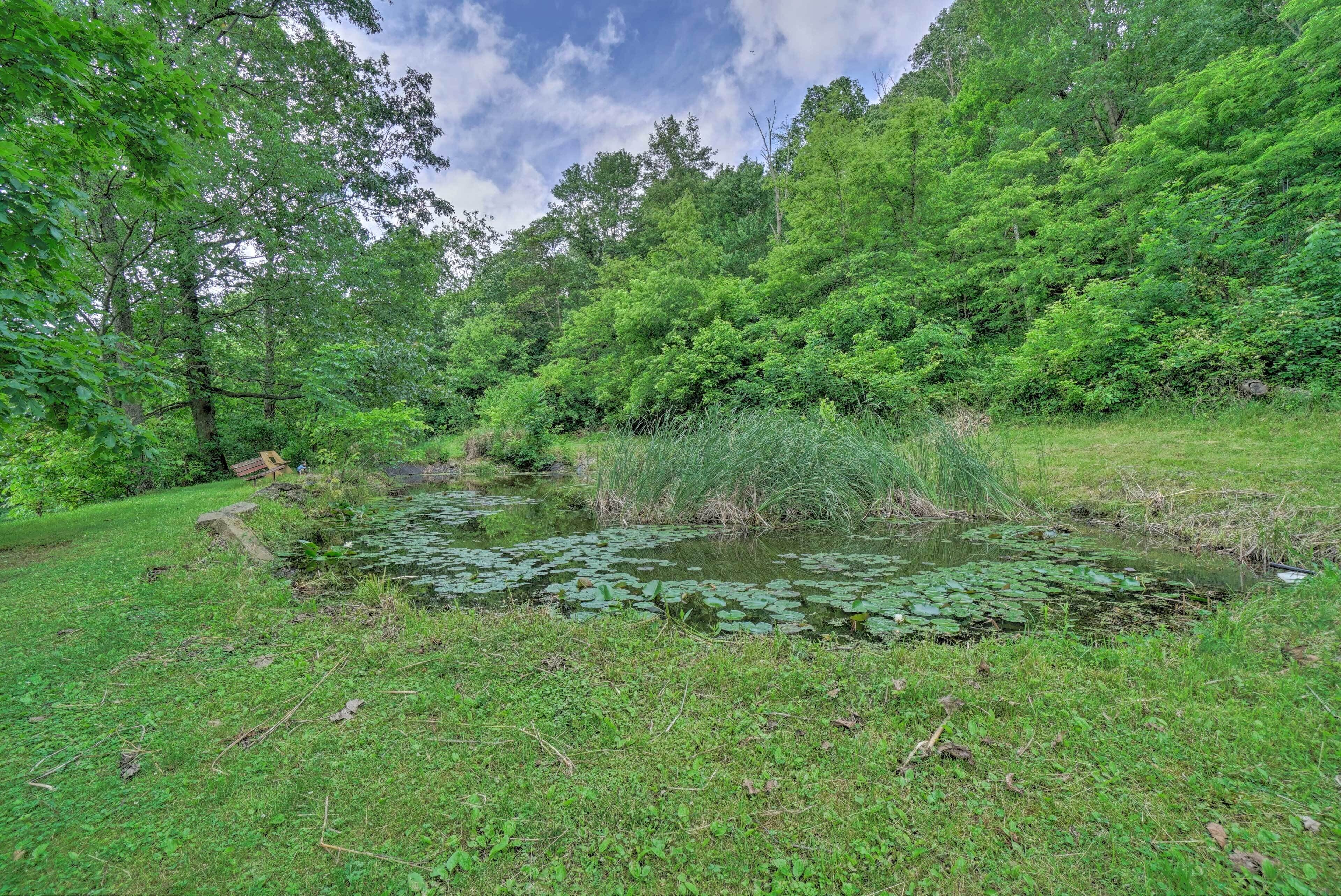 A natural landscape with a pond surrounded by lush greenery and trees.