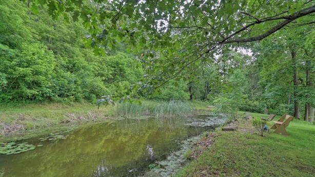 Un étang paisible, entouré d’une végétation luxuriante et d’arbres.