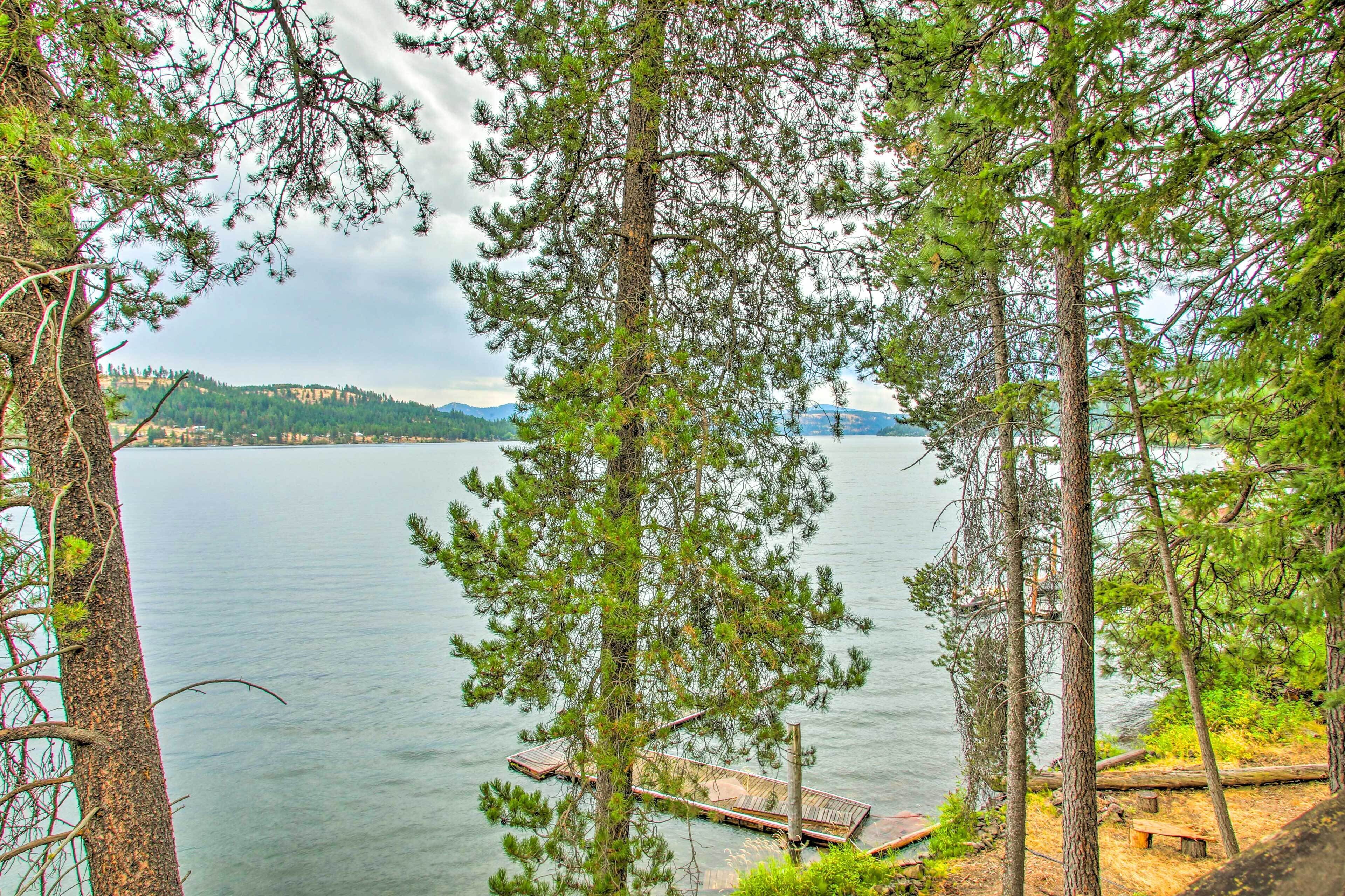 A lakeside view with a dock and trees.