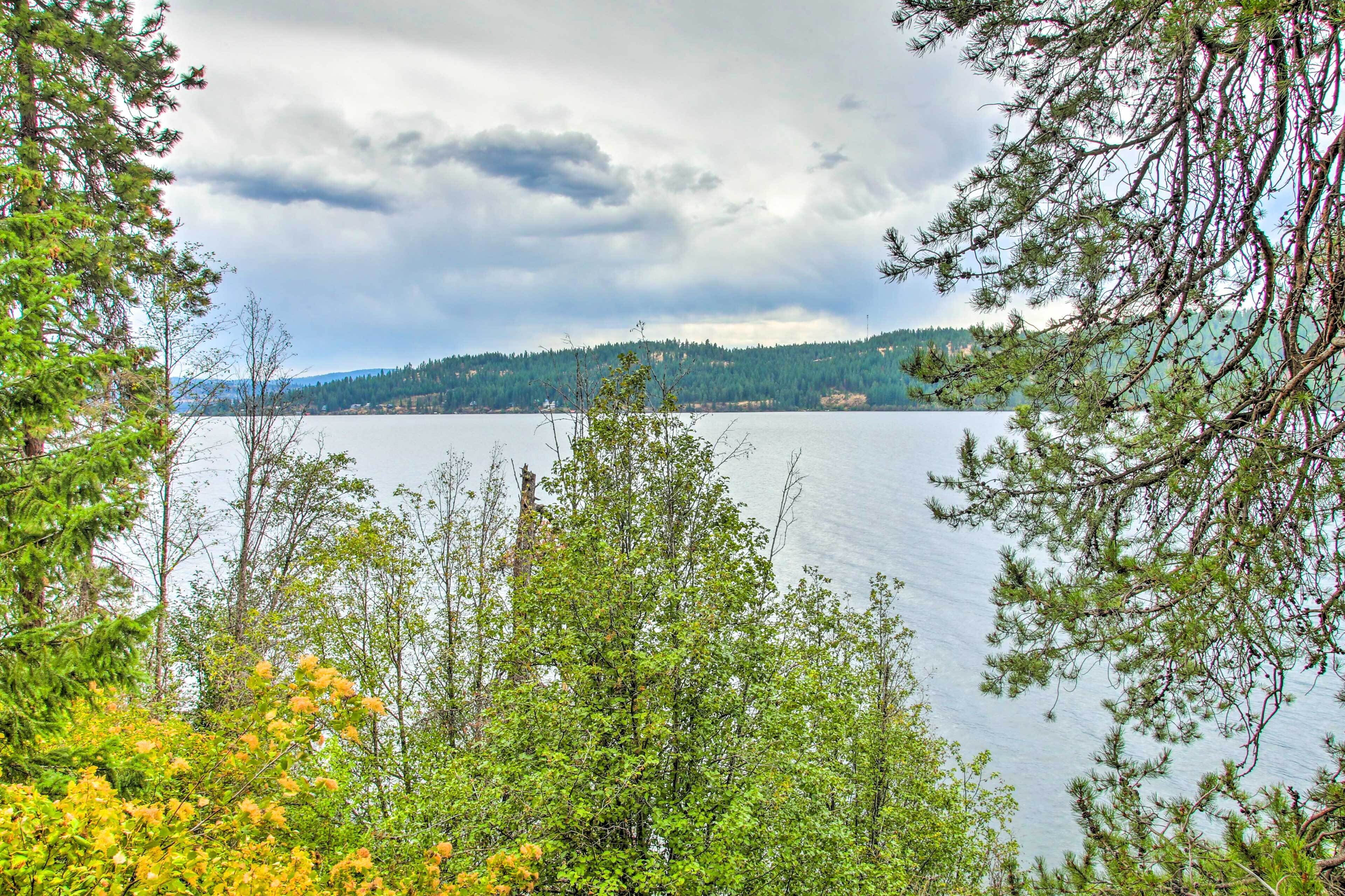 A lake surrounded by dense forest and a cloudy sky.