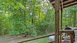 A wooden deck with a grill area overlooking a forested area. - Rustic Taswell Cabin: Grill + Walk to Patoka Lake! (Taswell)
