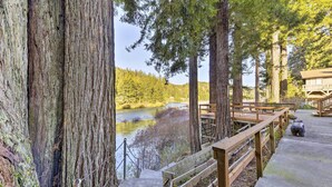 Un ponte in legno con vista su un fiume, alberi alti e un edificio sullo sfondo.