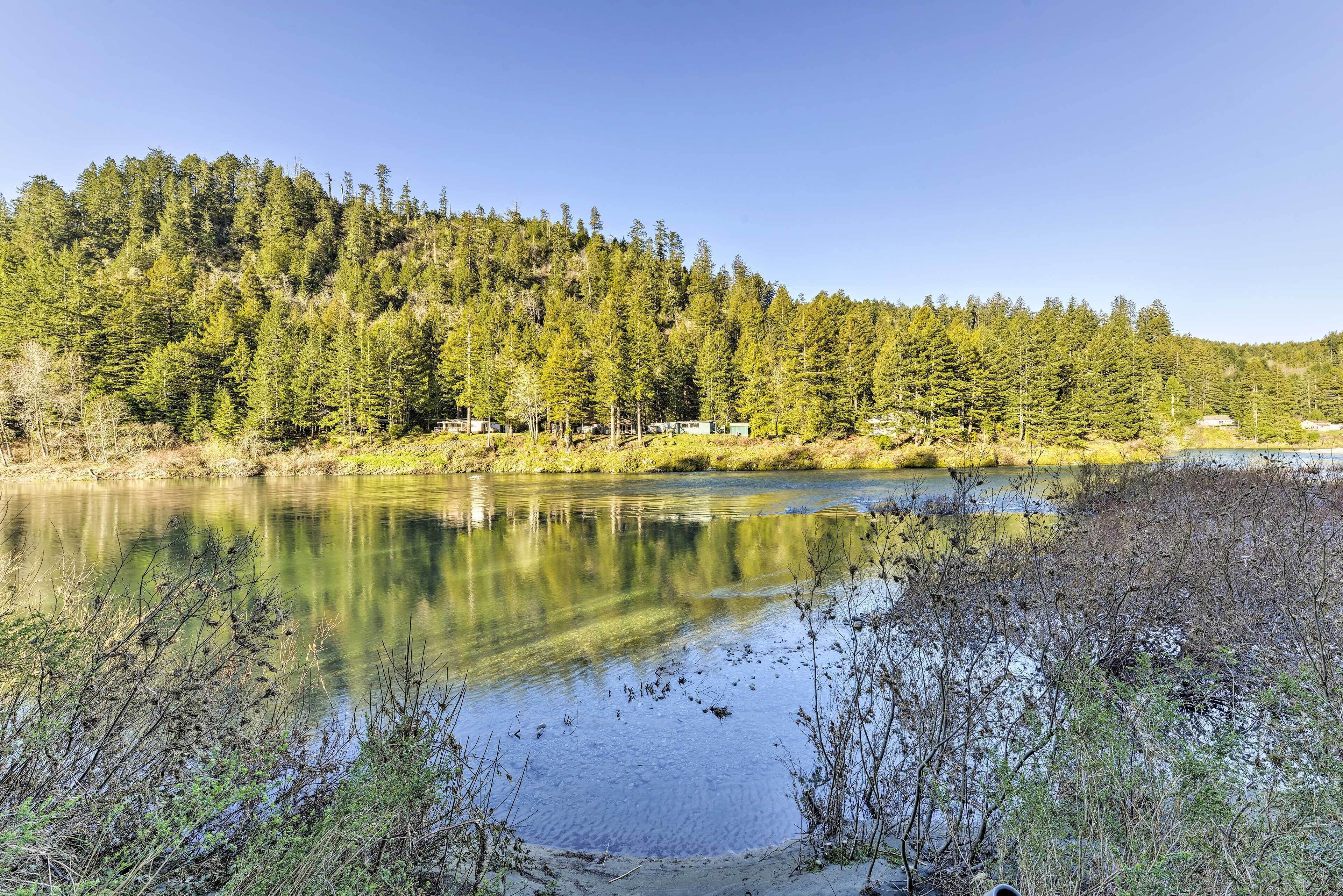 A serene lakeside view with dense forest and a clear sky.