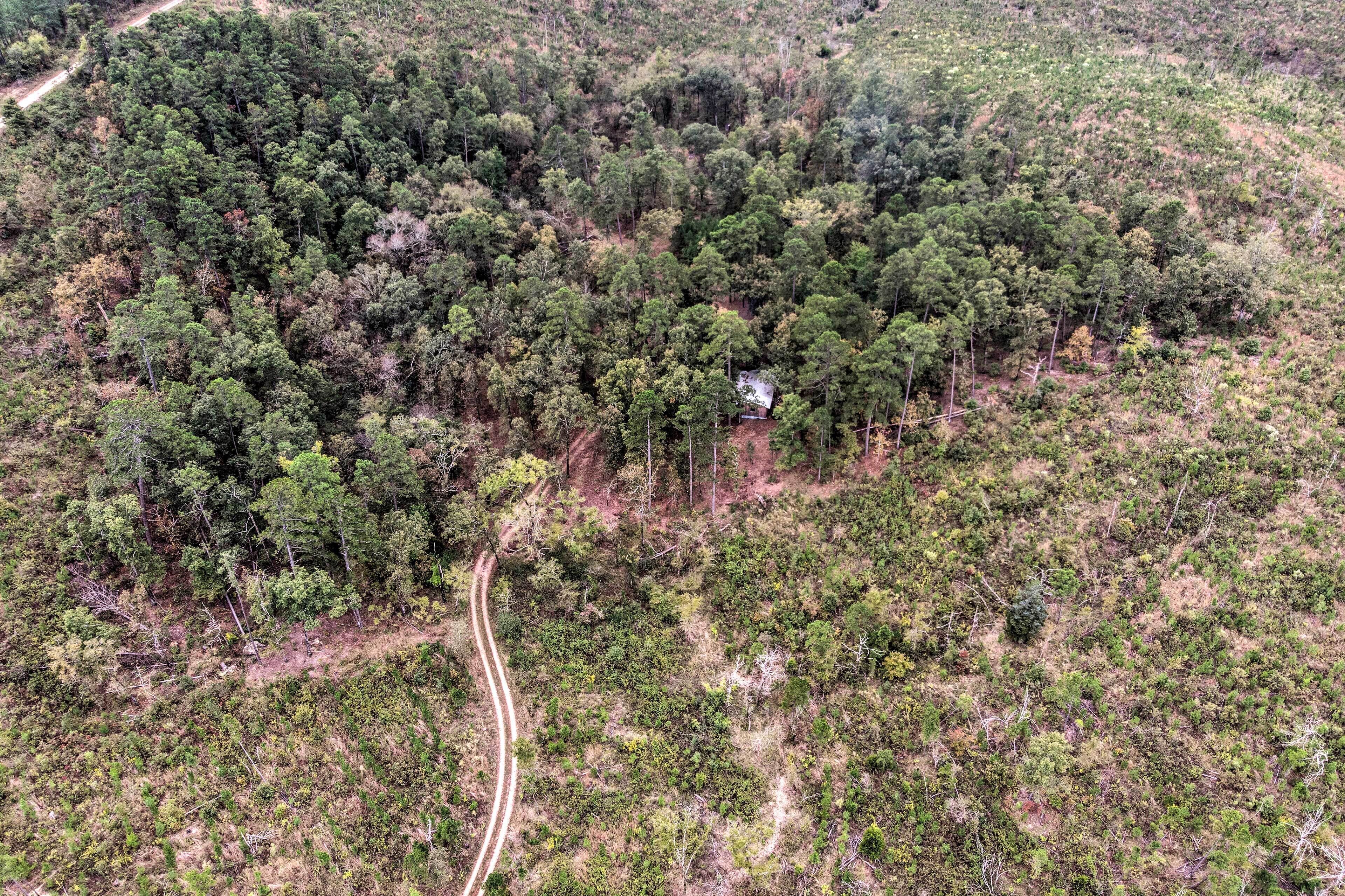 An aerial view of a forested area with a winding road and a small building.