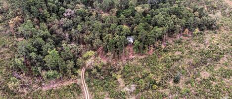An aerial view of a forested area with a winding road and a small building.