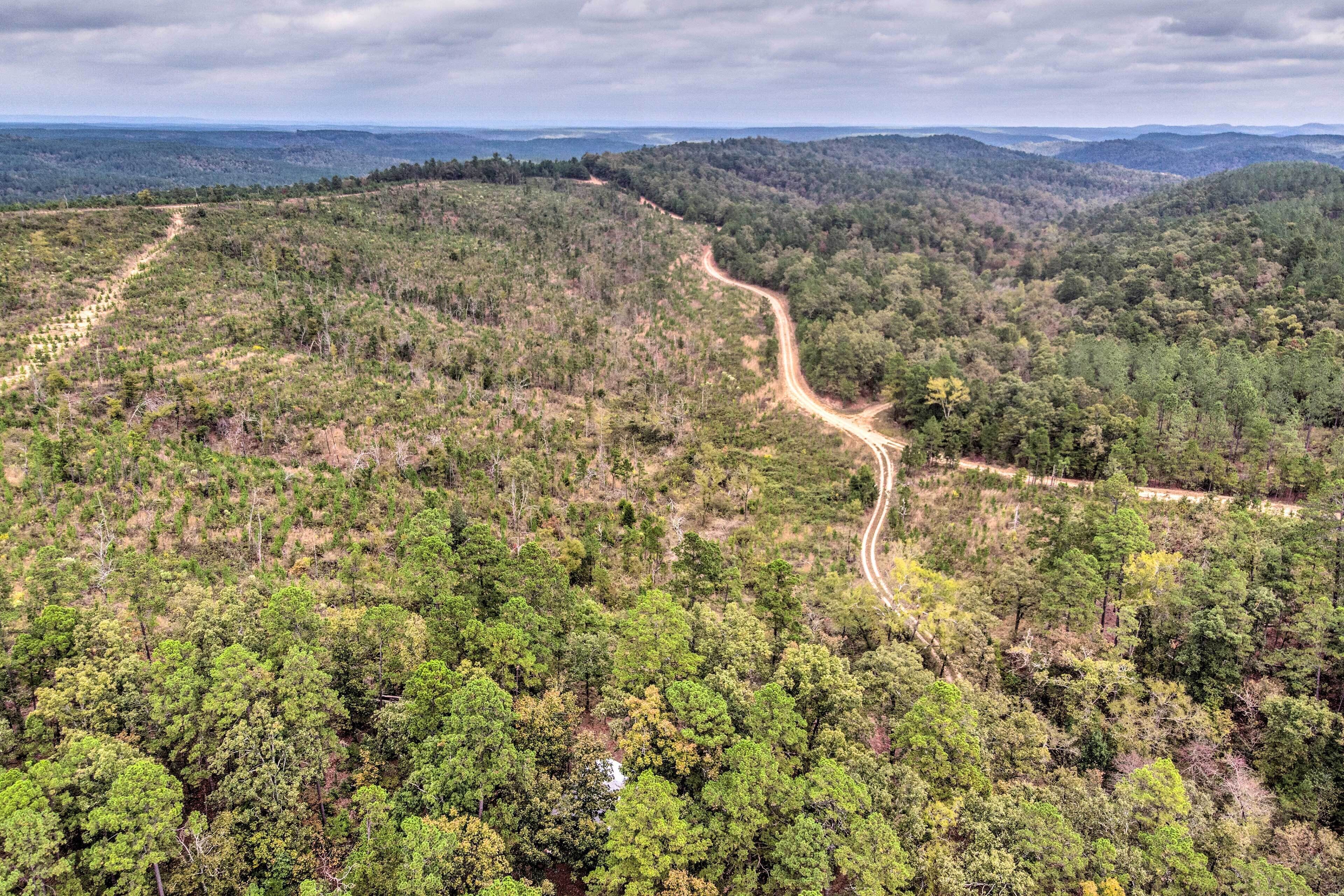 A forested landscape with a winding dirt road.