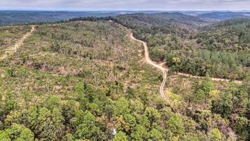 A forested landscape with a winding dirt road.
