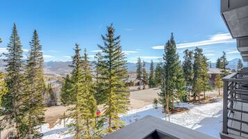 Apartment (1 Bedroom) | Interior