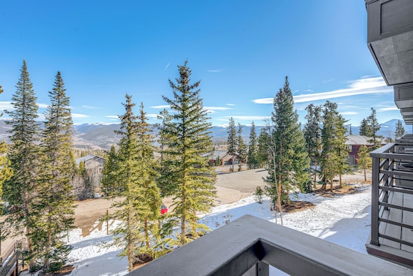 Apartment (1 Bedroom) | Interior