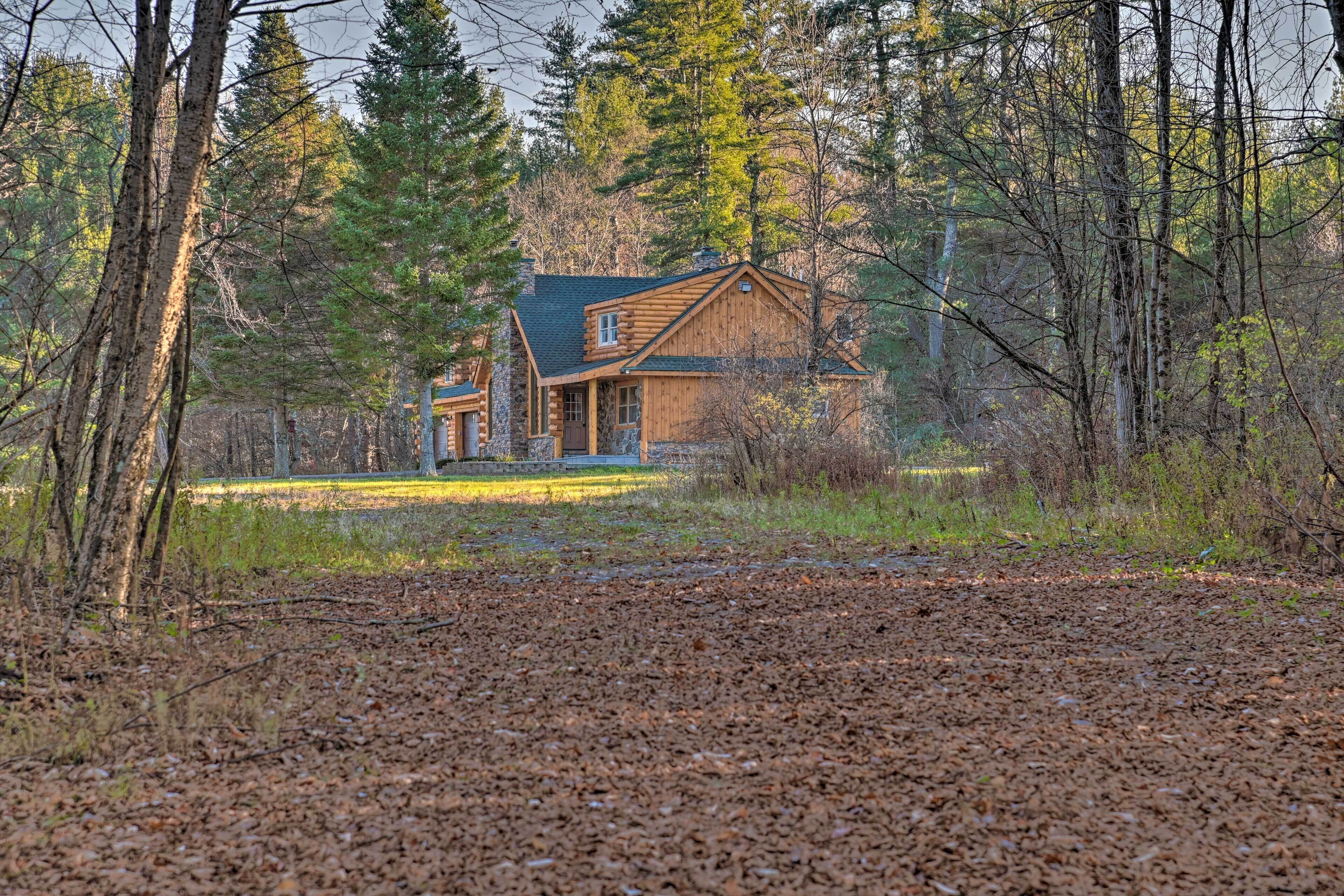 A log cabin with a porch, surrounded by trees and a wooded area.