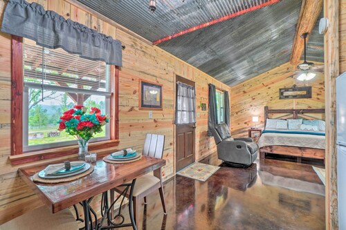 Updated Studio Cabin in Ozark w/ Yard & Mtn View