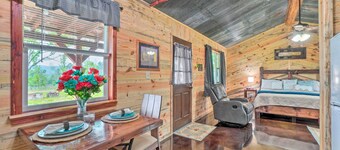 Updated Studio Cabin in Ozark w/ Yard & Mtn View