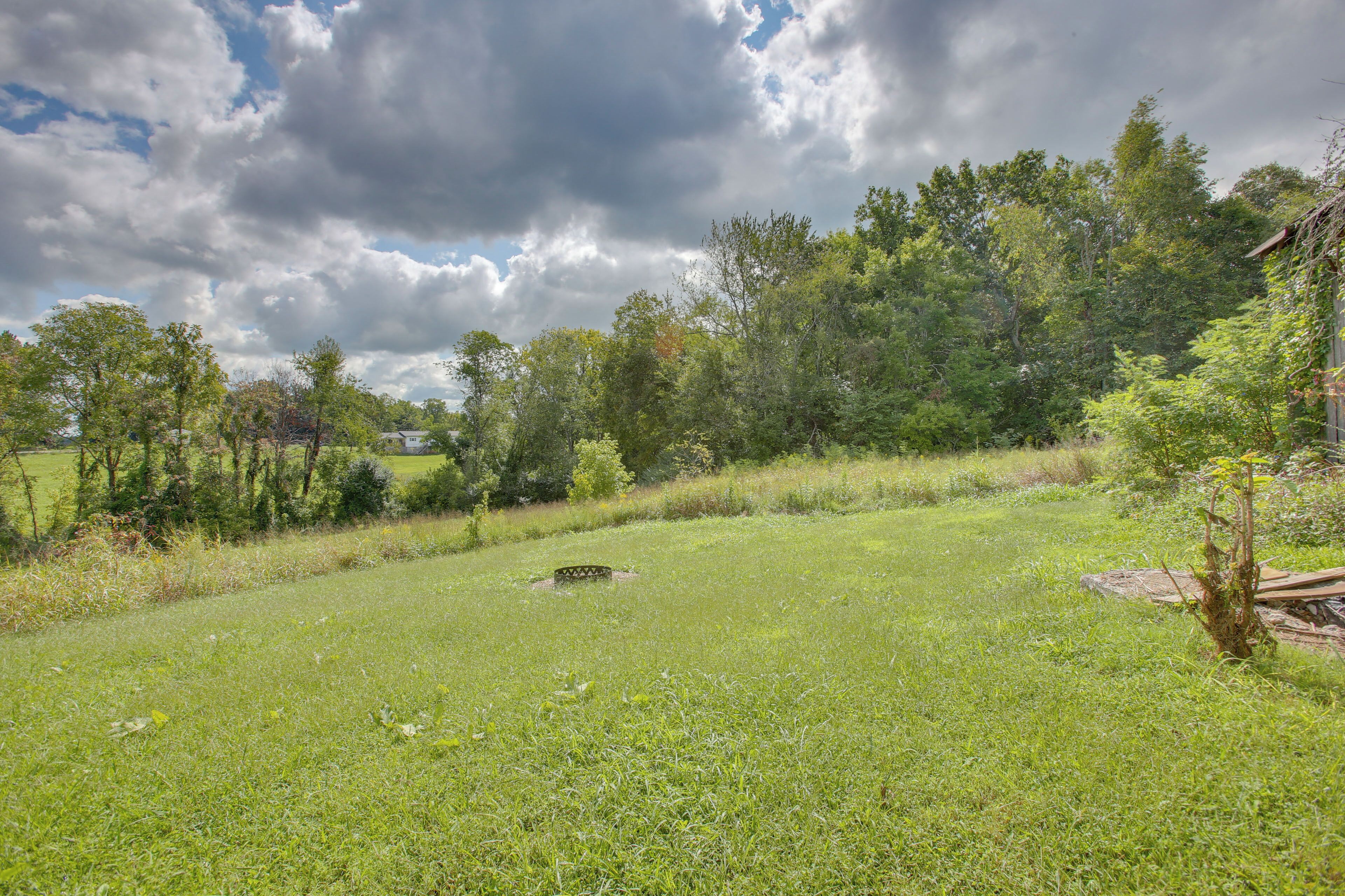 A grassy field with trees and a cloudy sky.