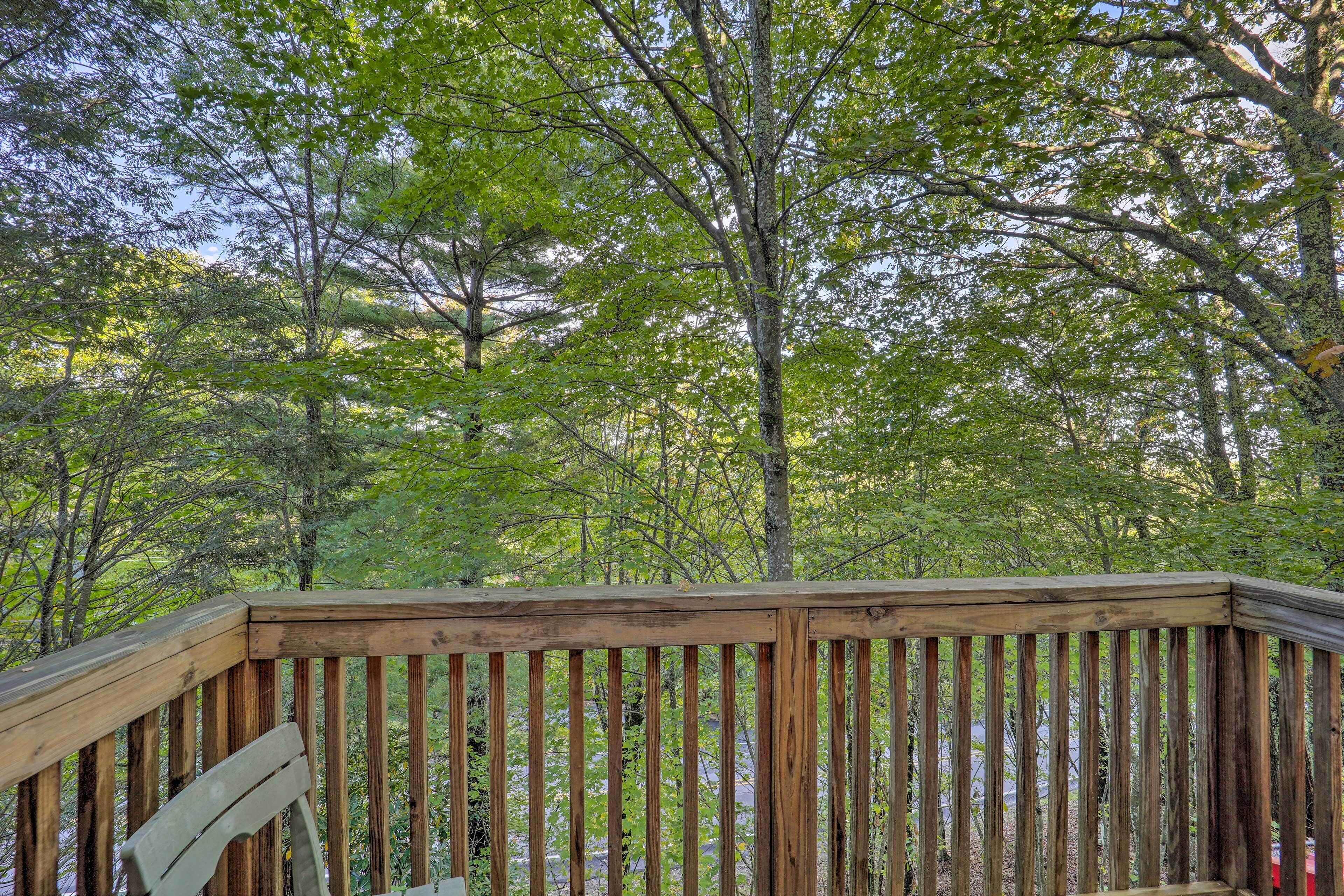 A wooden deck with a bench, surrounded by dense trees.