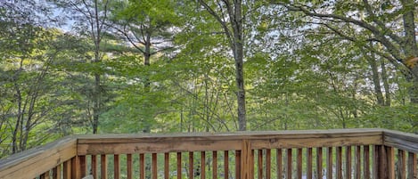 A wooden deck with a bench, surrounded by dense trees.
