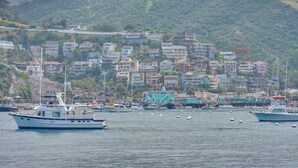 A coastal town with houses and boats on the water.