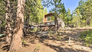Une cabane en bois dotée d’une terrasse, entourée d’une forêt dense.