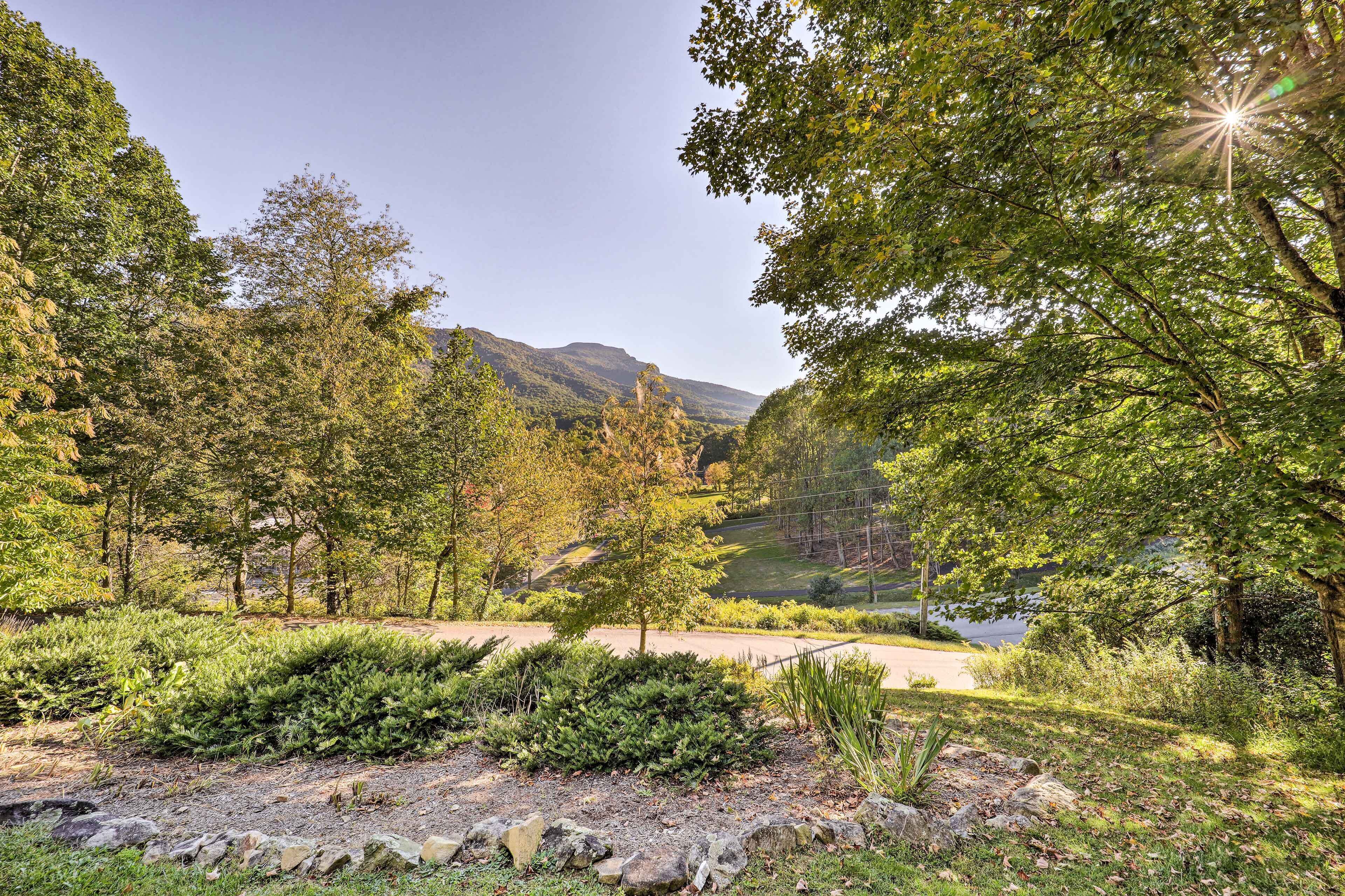 A natural landscape with a clear sky, trees, a path, and a body of water in the distance.