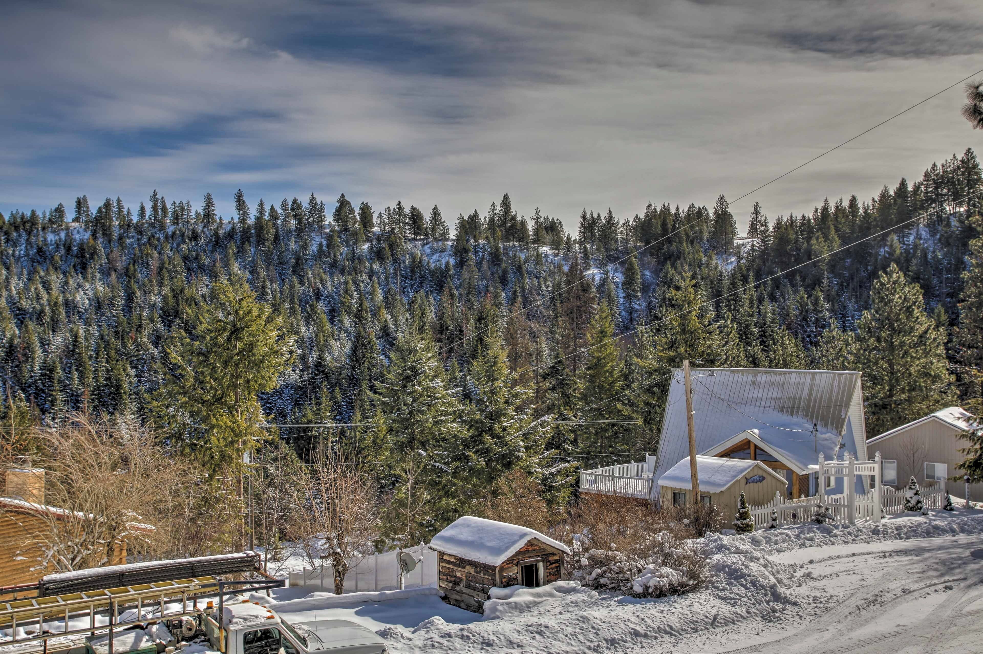 A cabin with a metal roof, surrounded by snow-covered ground and trees.